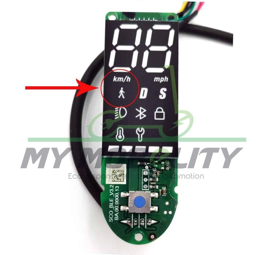 Xiaomi Xiaomi Display 1S, essential, Pro2