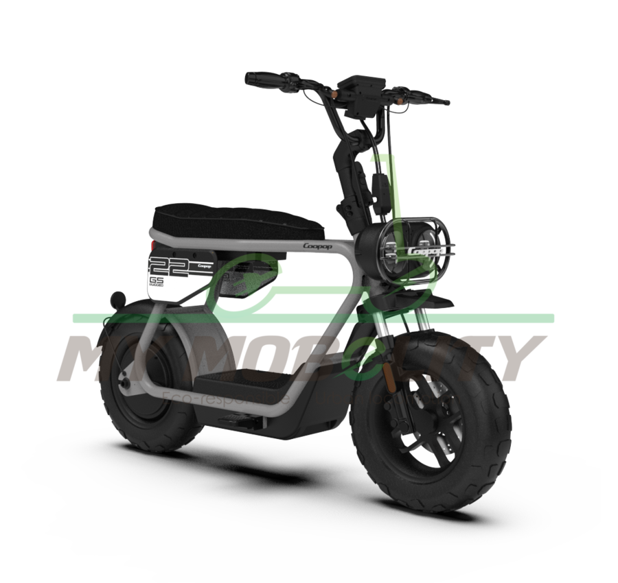 Coopop Coopop Rugged GS 48V 30Ah