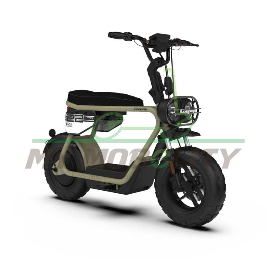 Coopop Coopop Rugged GS 48V 30Ah