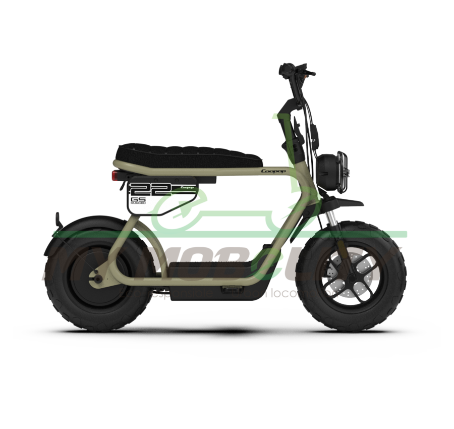 Coopop Coopop Rugged GS 48V 30Ah