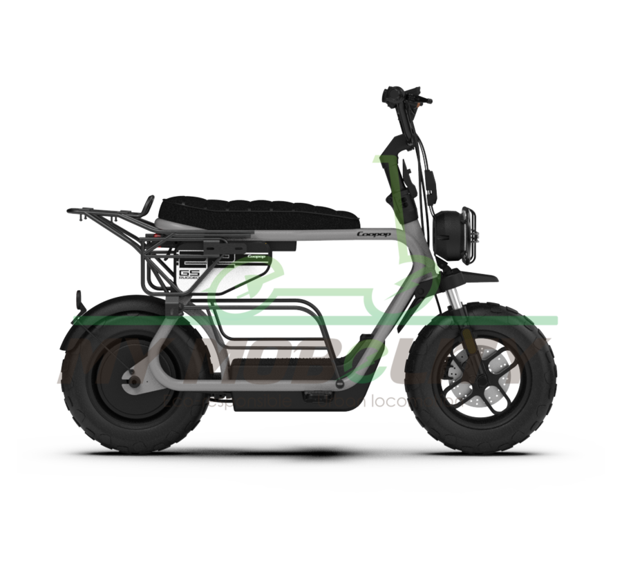 Coopop Coopop Rugged GS 48V 30Ah