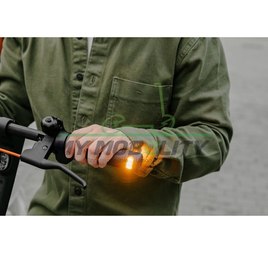 Ninebot Ninebot F2 E II