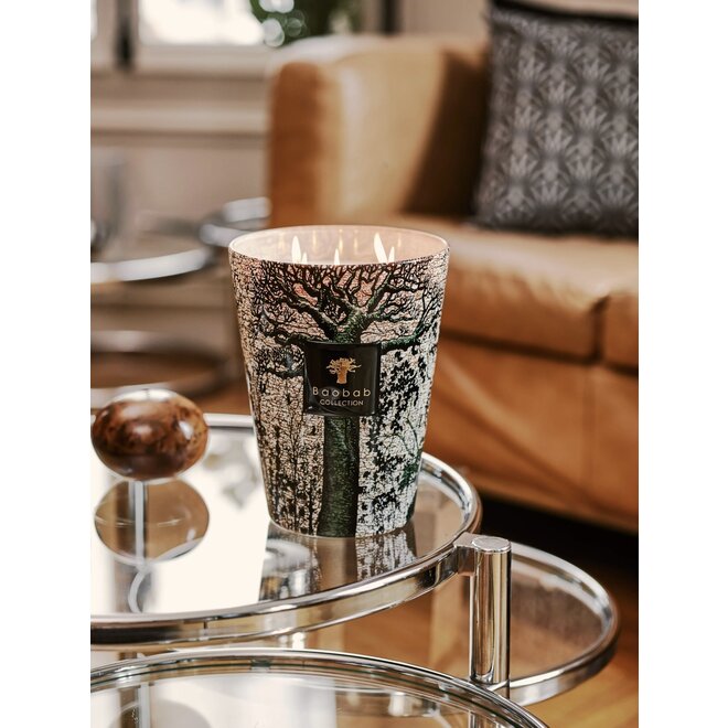 Bougie - Sacred Trees Kani - Baobab Collection