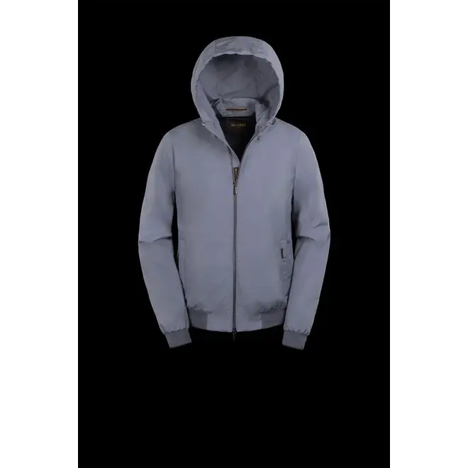 DENON BLUEBERRY MOORER