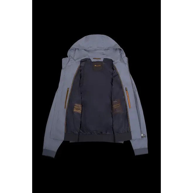 DENON BLUEBERRY MOORER