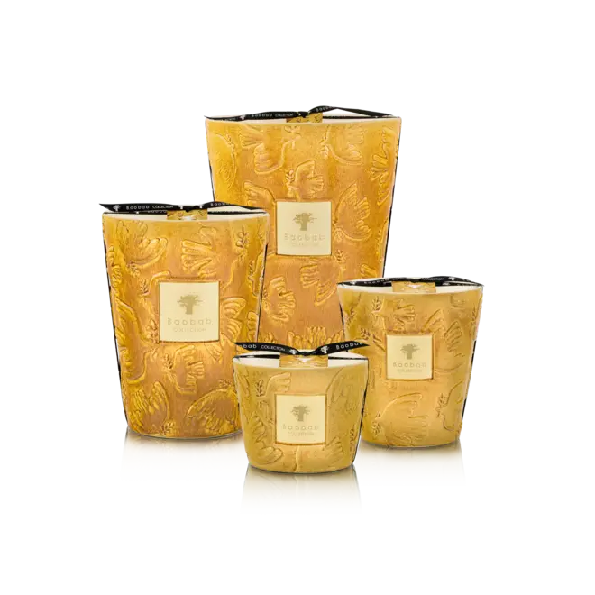 Bougie Paz Dove Baobab Collection