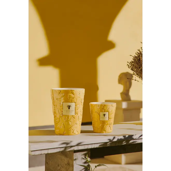 Bougie Paz Dove Baobab Collection