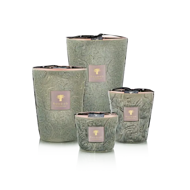Bougie Paz Colombe Baobab Collection