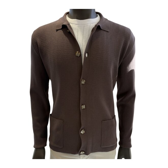 Cardigan manches longues Brun Barba Napoli