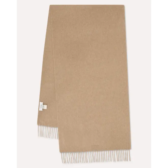 Echarpe CN67177 240 Lardini