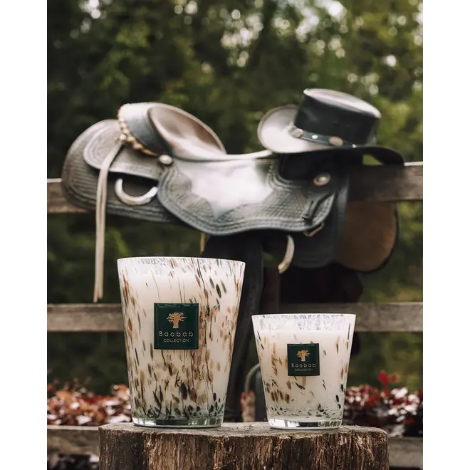 Bougie HALONA WHITE WORLD 2026 Baobab Collection