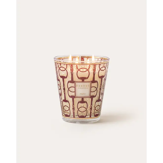 Bougie STEPHEX 2026 Baobab Collection