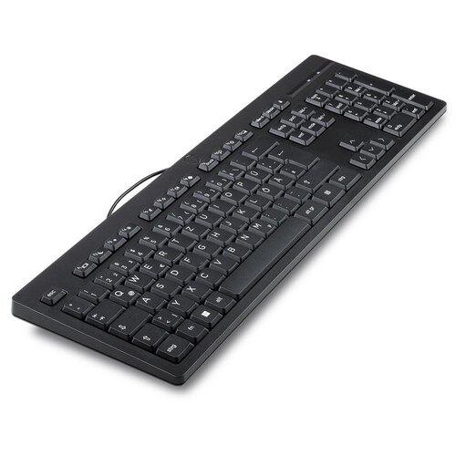 Hewlett Packard HP 125 Wired USB Keyboard QWERTZ