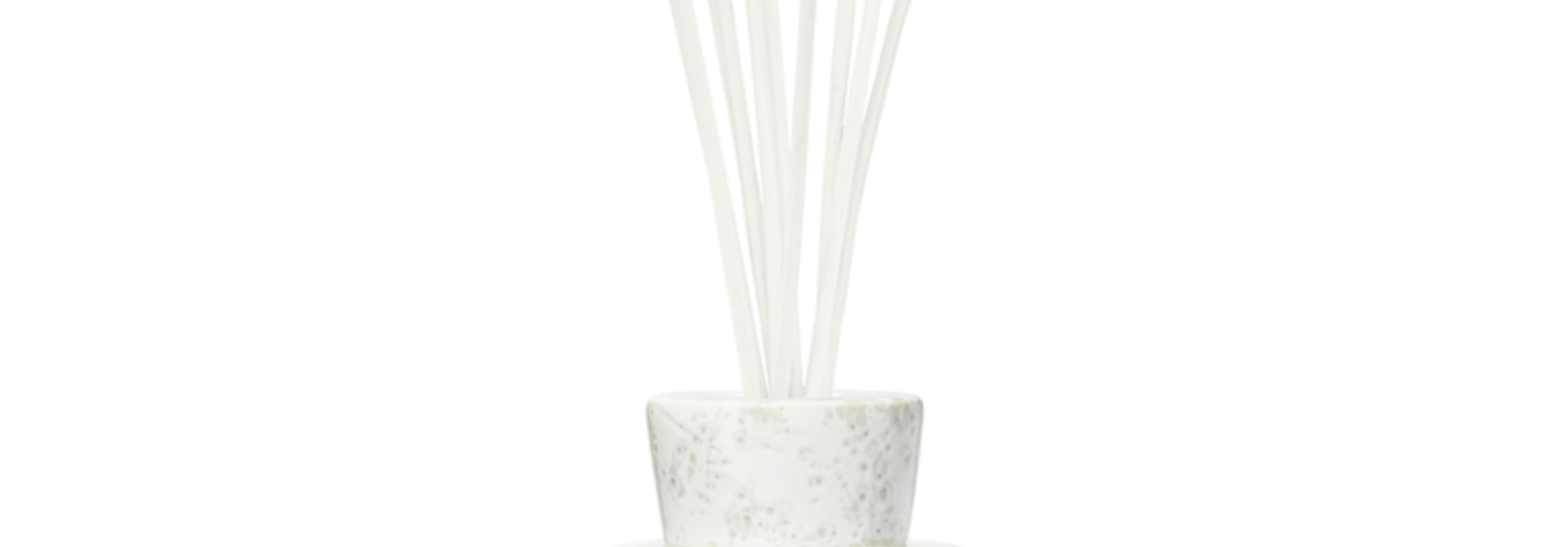 BAOBAB COLLECTION - Diffuser Rainforest Tanjung 2L