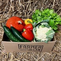 Box full of Flavor! - Biological vegetables