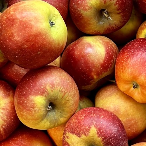 Biologische appels - Santana (per kilo)
