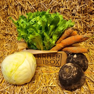 Box full of Flavor! - Organic vegetables