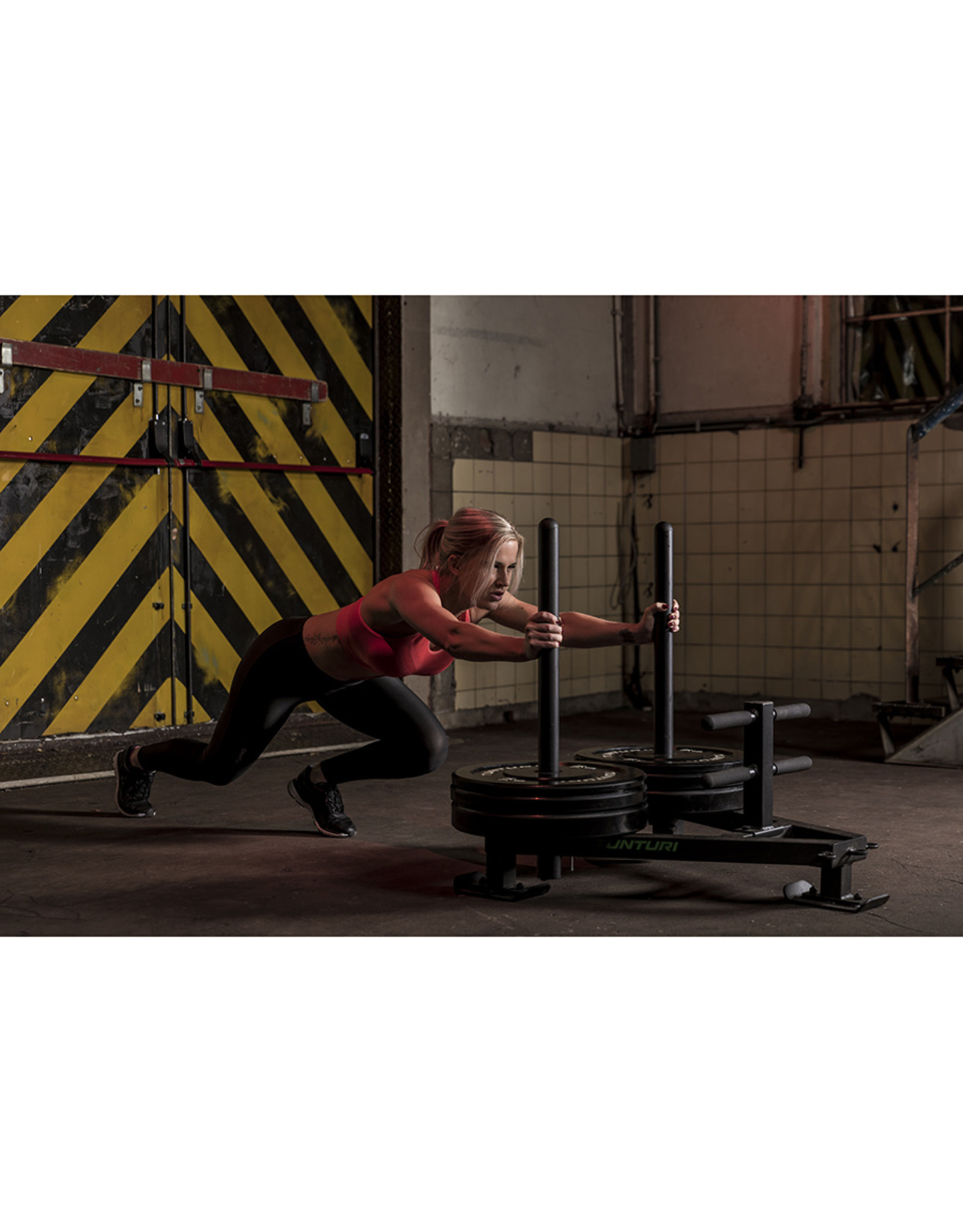 Tunturi Tunturi Power Dog Sled