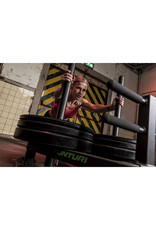 Tunturi Tunturi Power Dog Sled