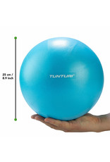 Tunturi Tunturi Rondo Ball 25cm