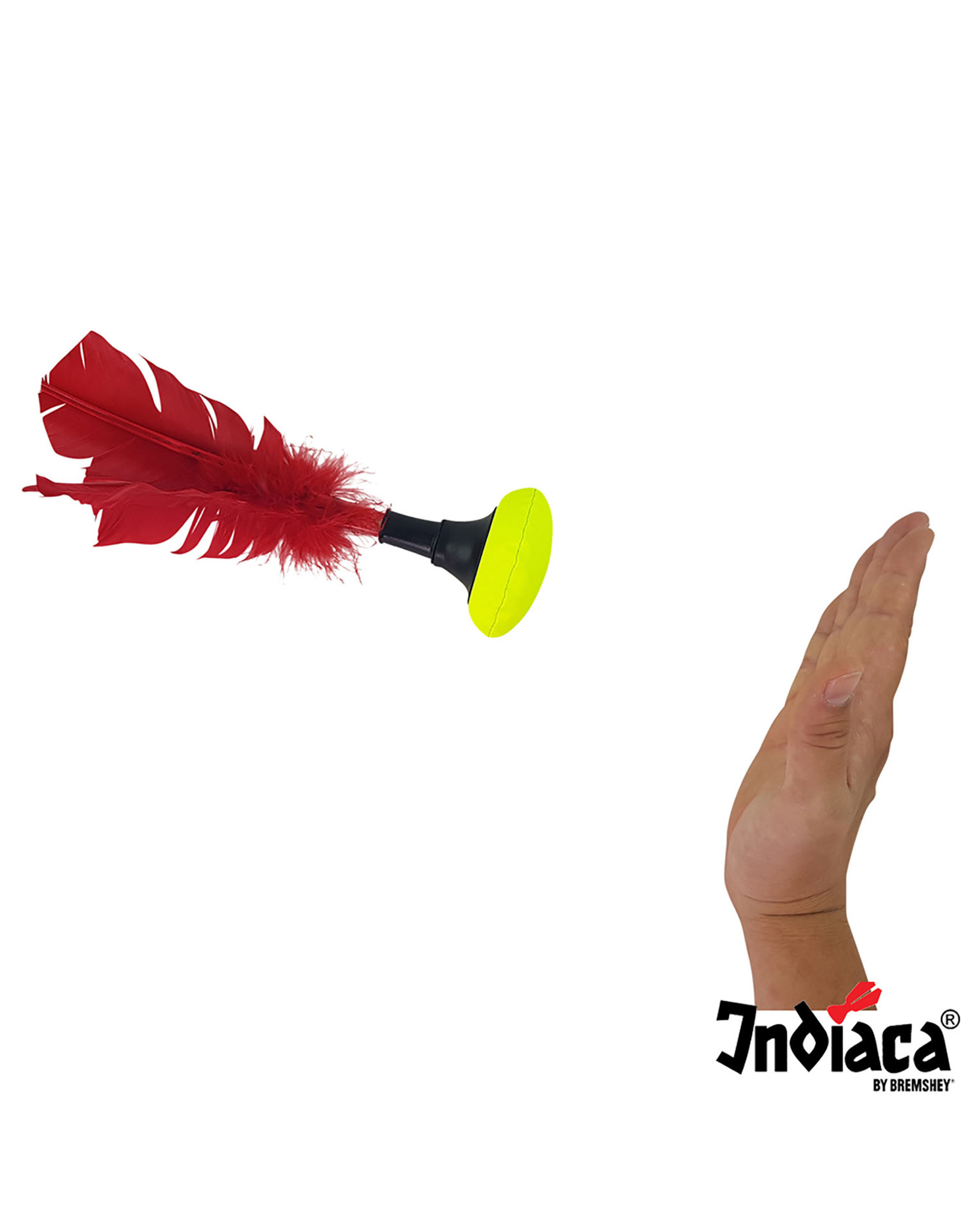 Indiaca Indiaca tournament