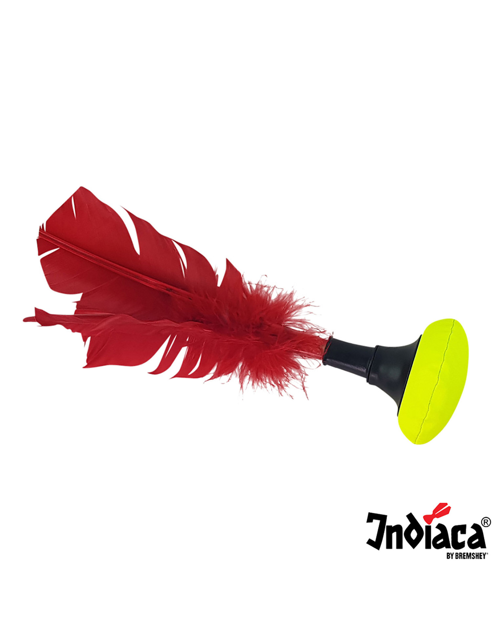 Indiaca Indiaca tournament