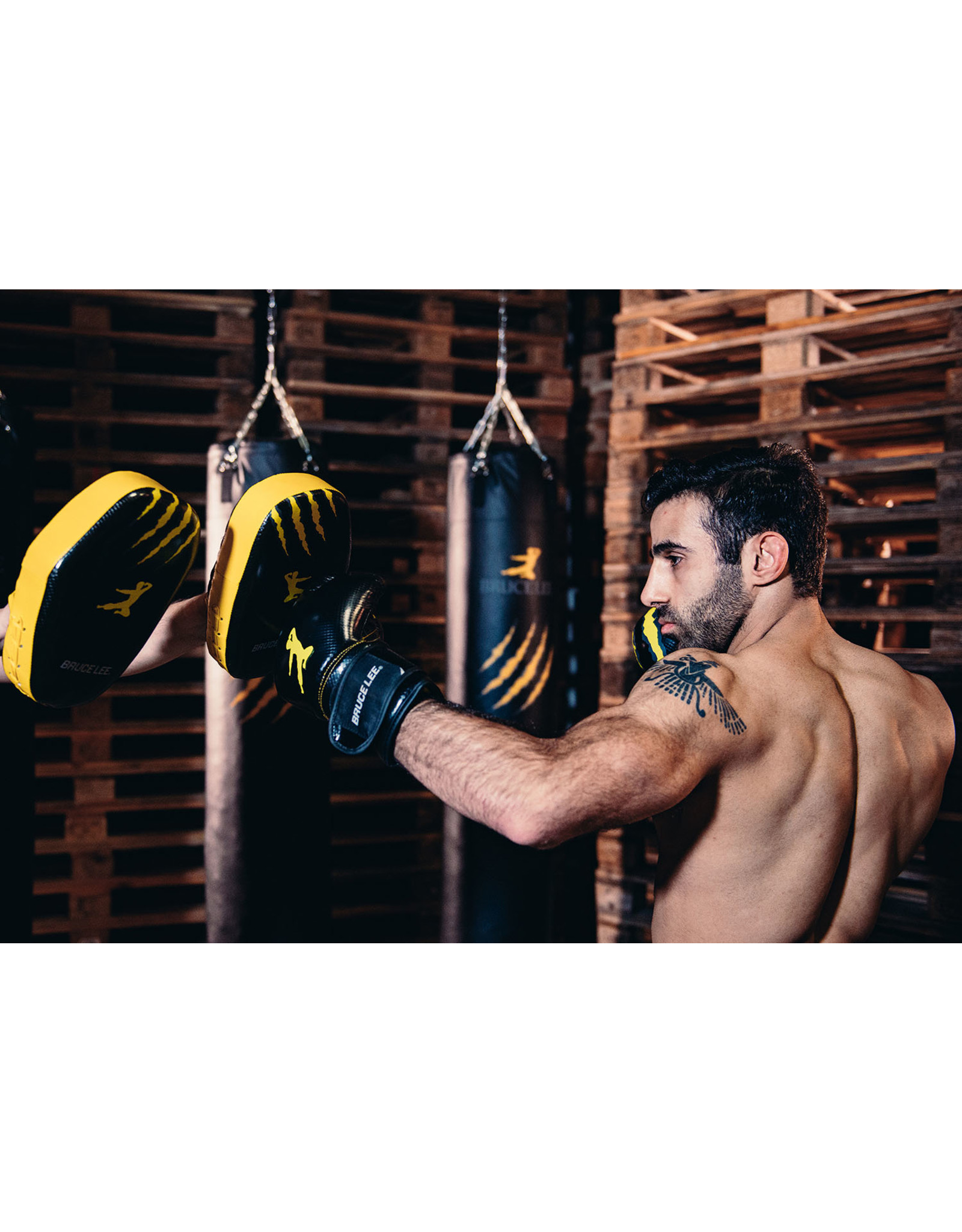 Bruce Lee Bruce Lee Signature Coaching Mitts