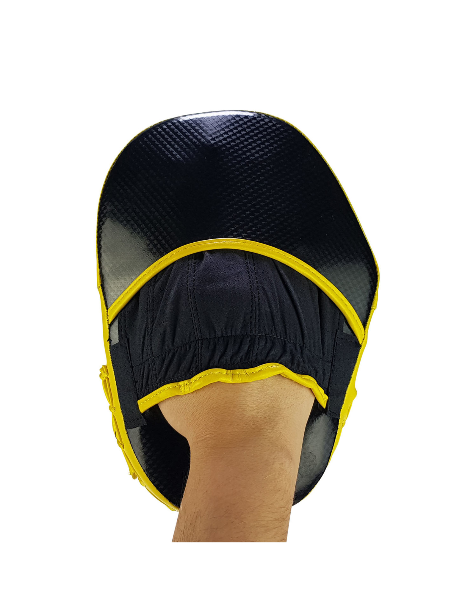 Bruce Lee Bruce Lee Signature Coaching Mitts