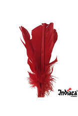 Indiaca Indiaca play