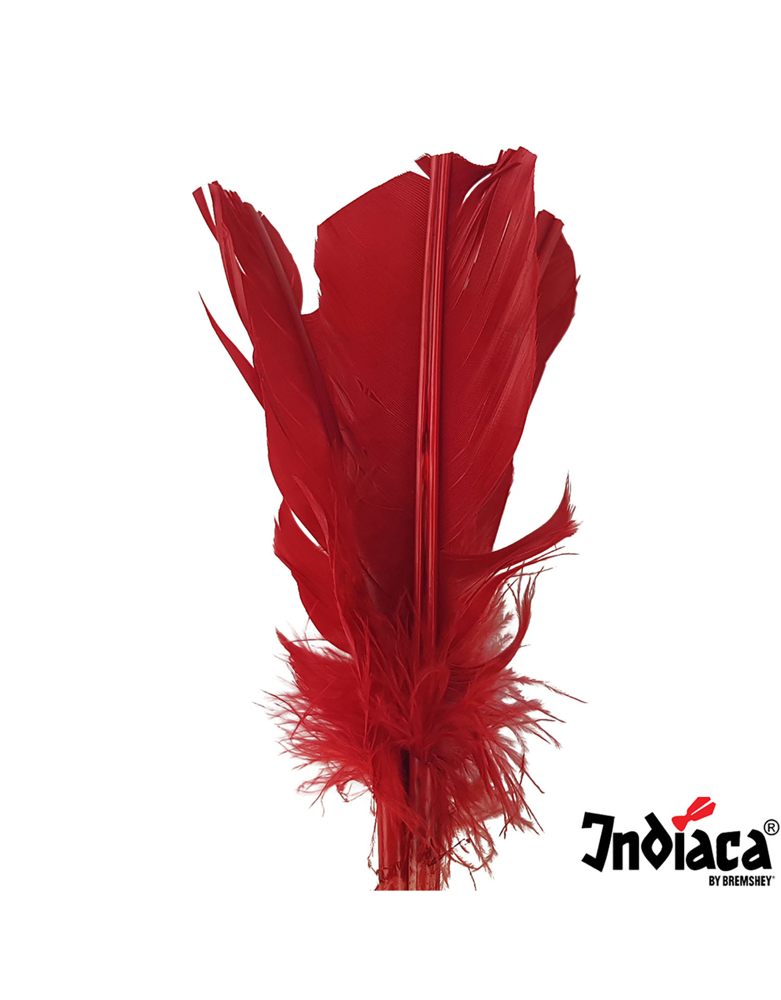 Indiaca Indiaca play