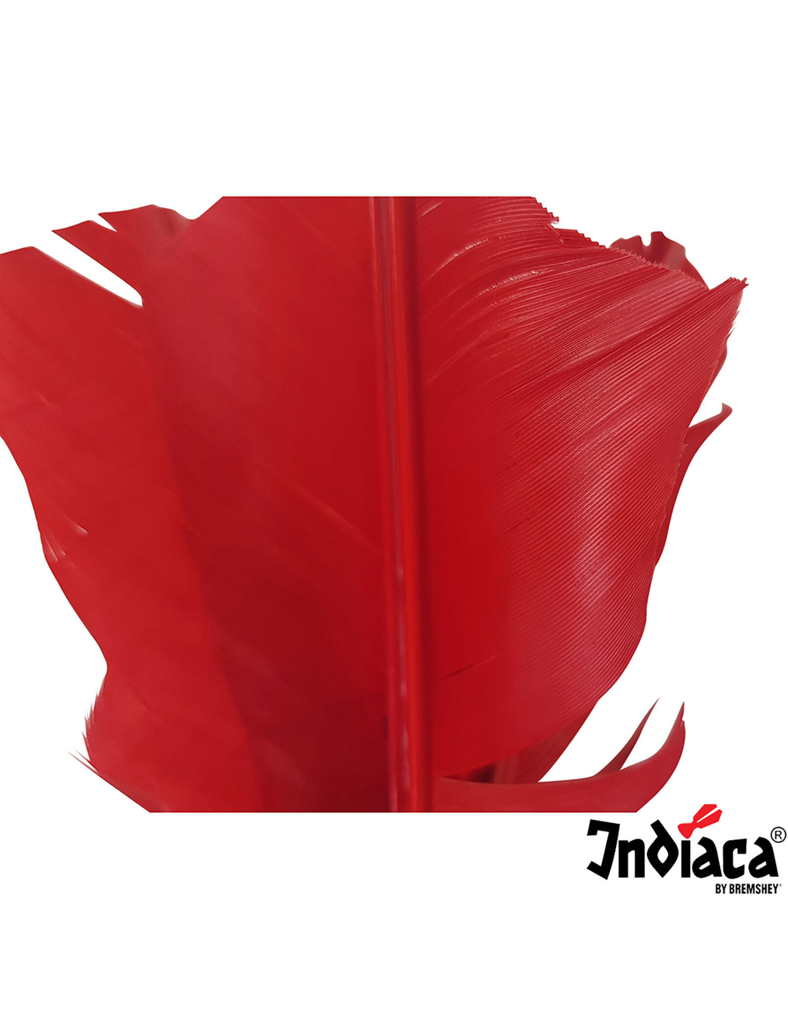 Indiaca Indiaca Replacement feathers