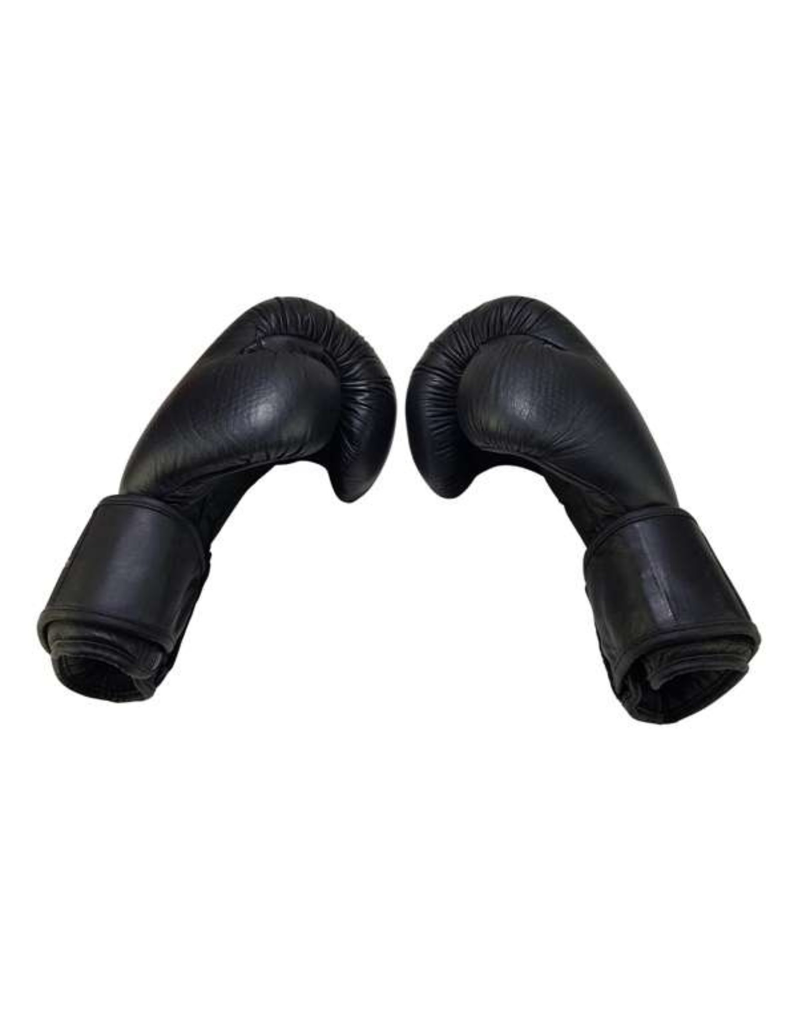 Bruce Lee Allround Boxing Gloves Pro