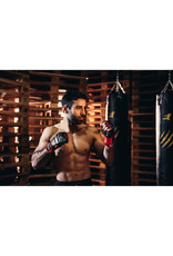 Bruce Lee Dragon Grapping Gloves