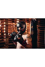 Bruce Lee Dragon Boxing Gloves