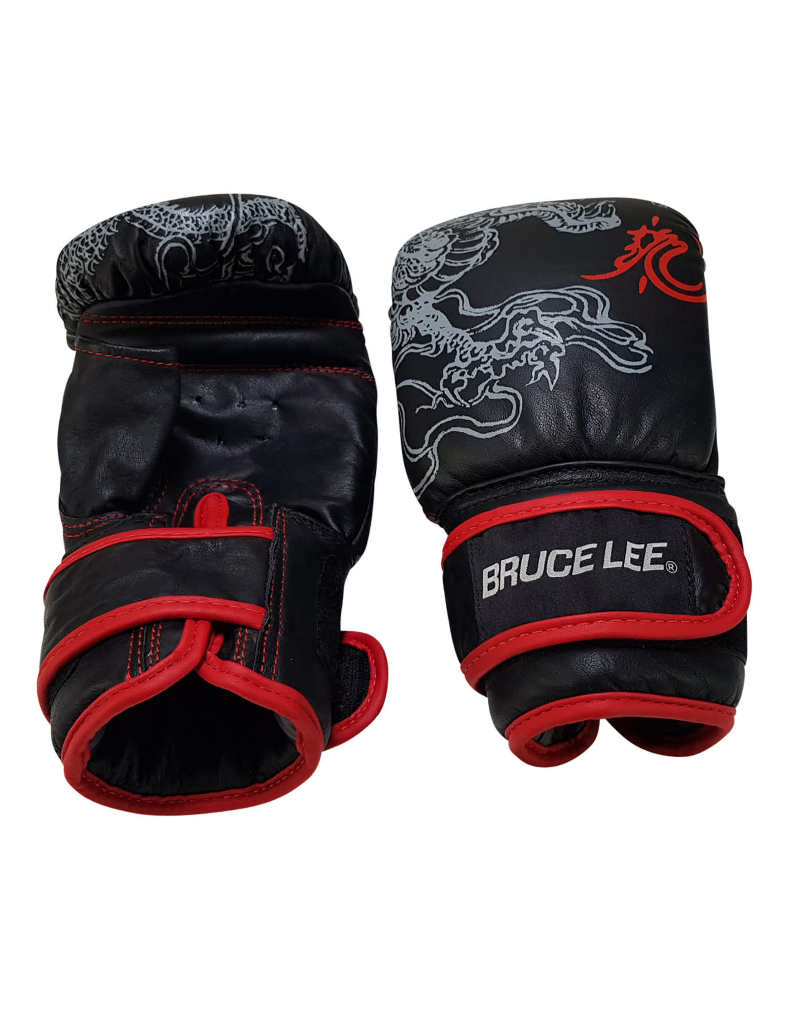 Bruce Lee Dragon Bag Gloves