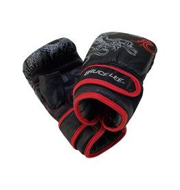 Bruce Lee Dragon Bag Gloves