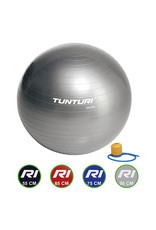 Tunturi Gymball Silver 55 - 90 cm