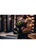 Bruce Lee Signature Boxing Gloves