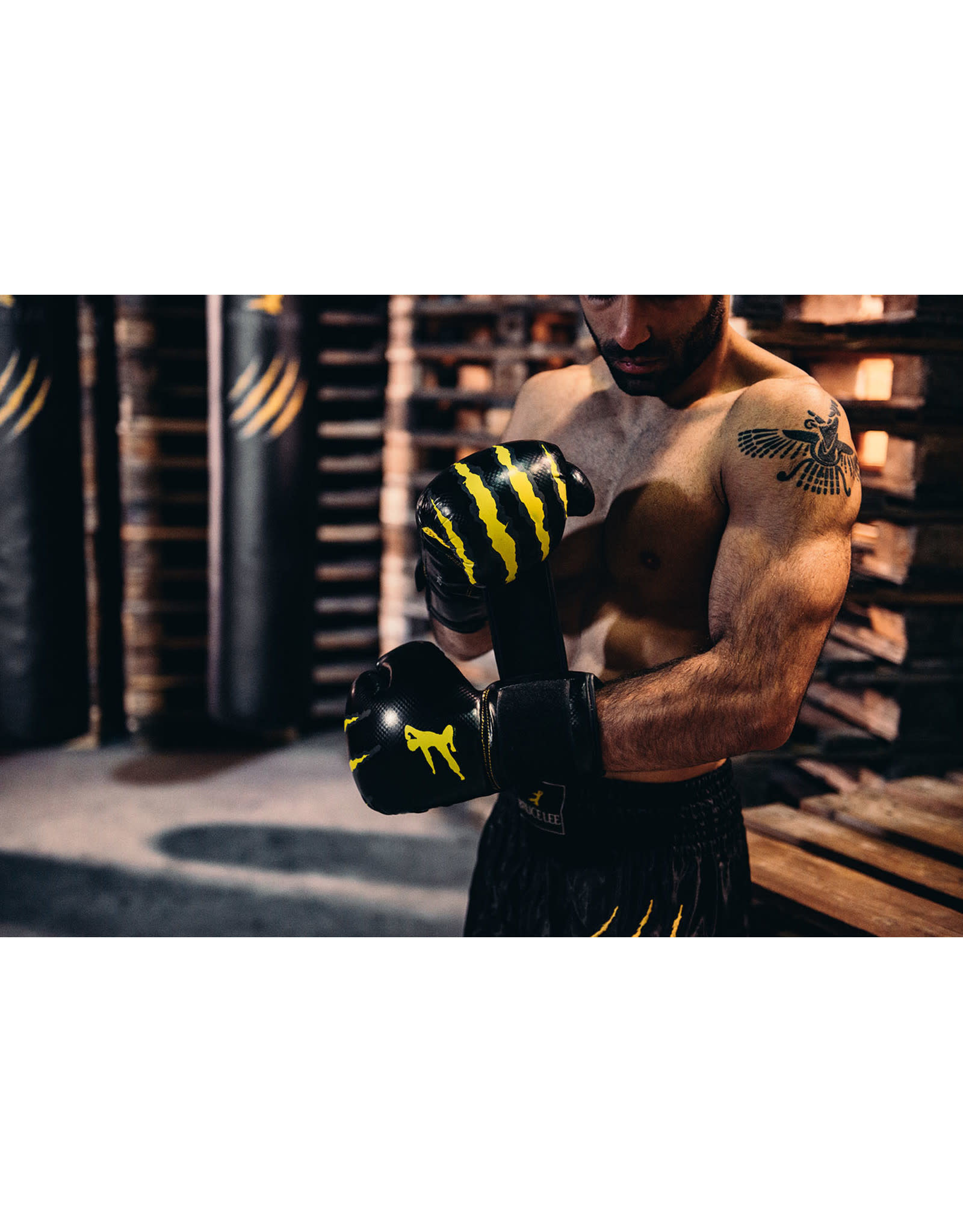 bladerdeeg Stuwkracht Intentie Signature Boxing Gloves - NiemanSports