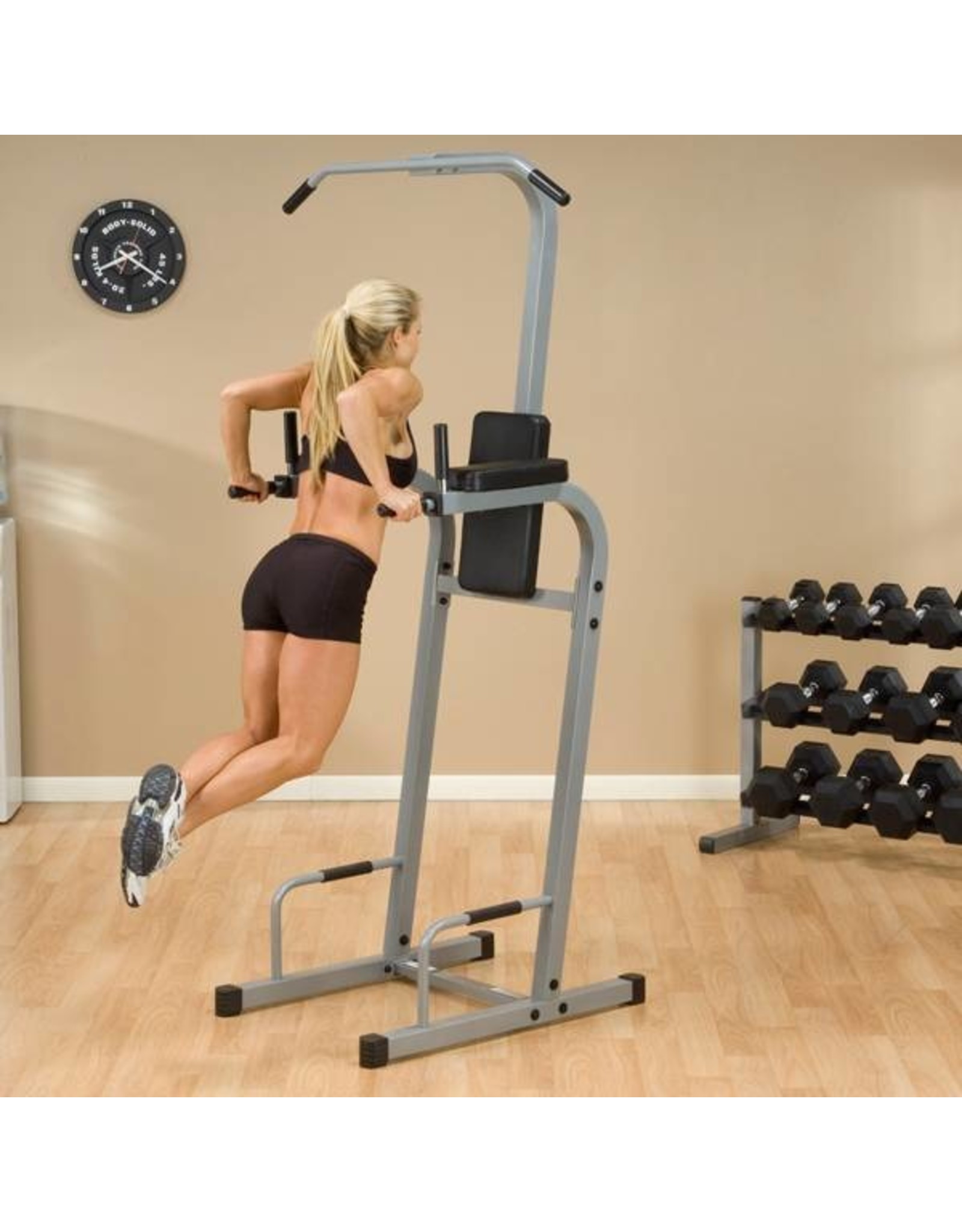 Powerline Powerline Vertical Knee Raise Chin Dip - PVKC83X