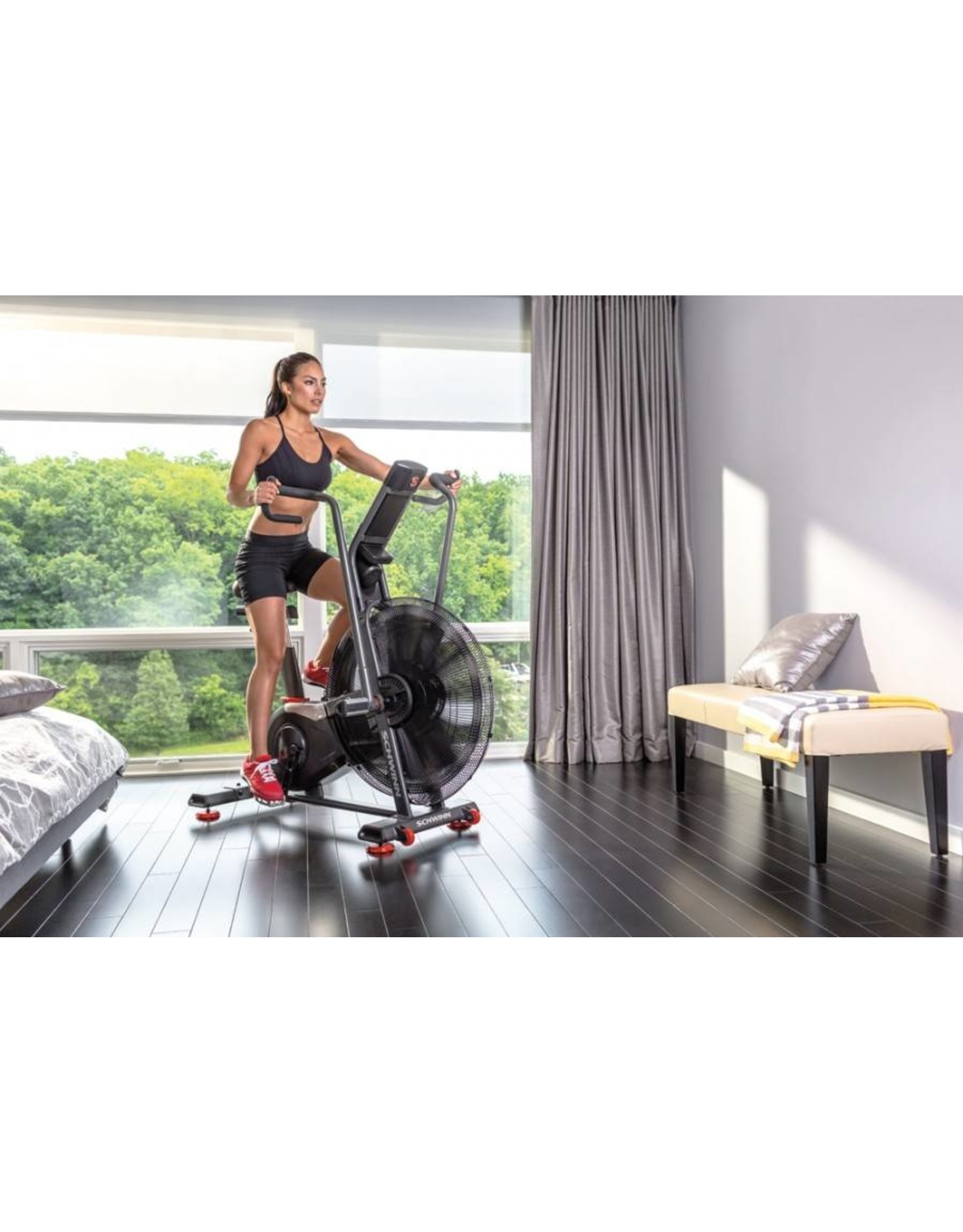 Schwinn Schwinn Airdyne AD8i PRO HIIT Airbike