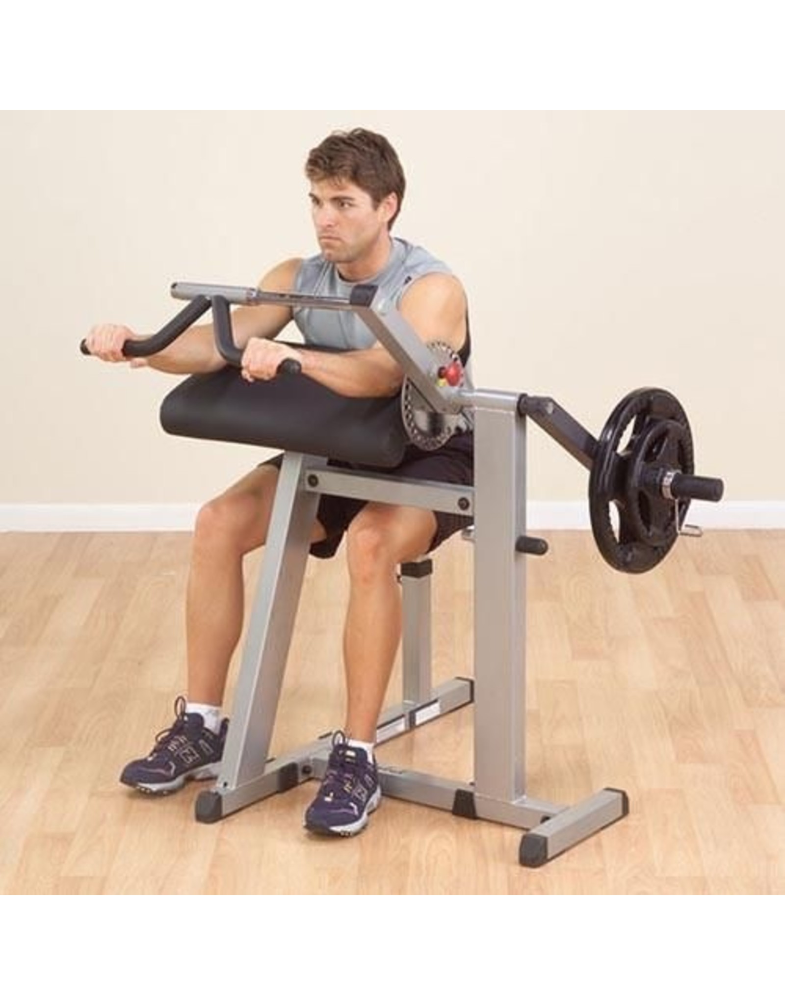 Body-Solid Body-Solid Biceps / Triceps Machine GCBT380