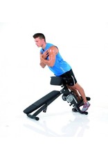 Finnlo by Hammer Finnlo AB & BACK TRAINER - hyperextension - ab bench - preacher curl bench