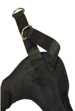 Finnlo by Hammer Finnlo BIOFORCE AB-STRAP