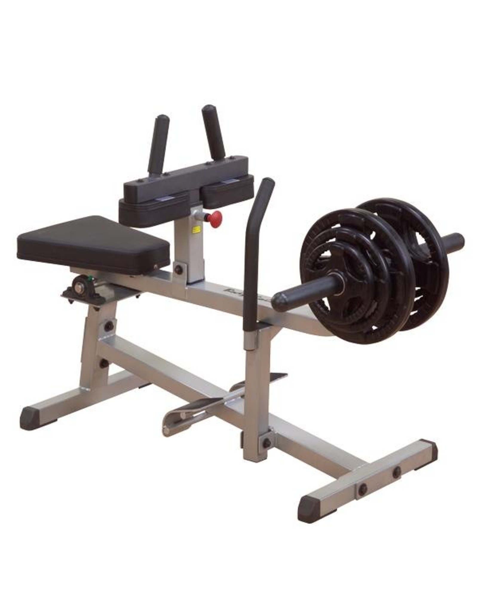 Body-Solid Body-Solid GSCR349 Commercial Seated Calf Raise