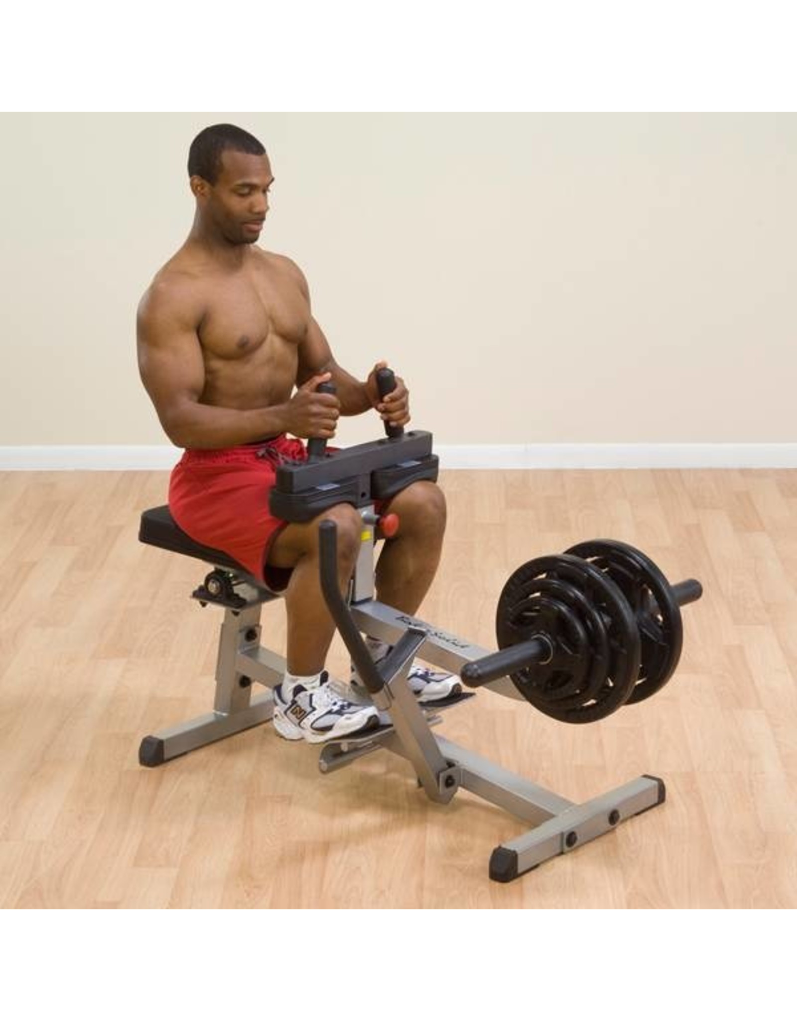 Body-Solid Body-Solid GSCR349 Commercial Seated Calf Raise