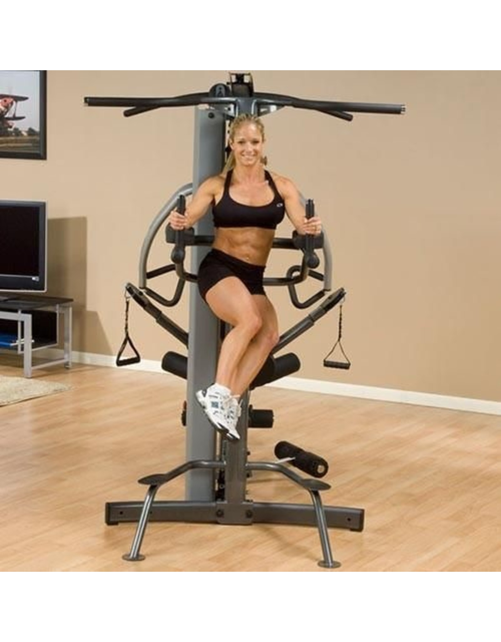 Body-Solid Body-Solid Vertical Knee-Raise / Dip Station FKR