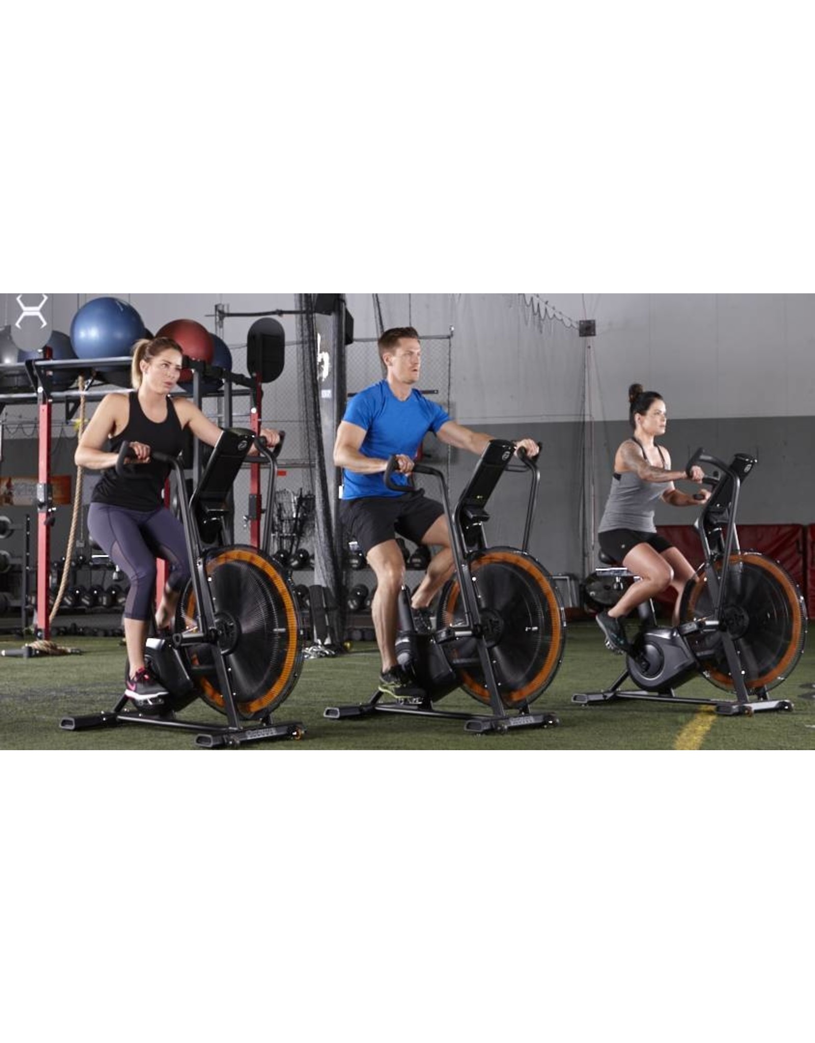 Octane Fitness Octane Airdyne ADX