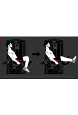 Steelflex Steelflex Mega Power Leg extension machine MLE-200/2