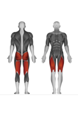 Steelflex Steelflex Mega Power Leg Press Machine MLP-500/2